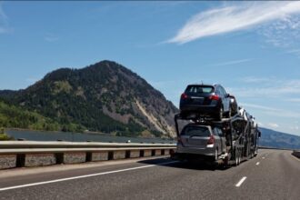 What California Auto Shipping Services Do for their Customers?