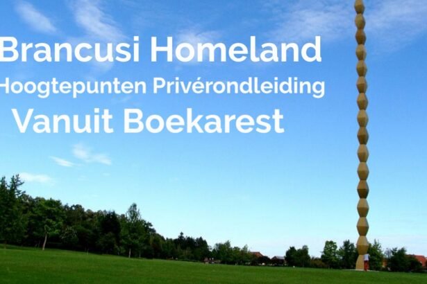 Brancusi Homeland Hoogtepunten Privérondleiding Vanuit Boekarest