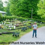 The Benefits of Plant Nurseries Webfreen.com