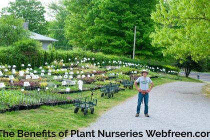 The Benefits of Plant Nurseries Webfreen.com