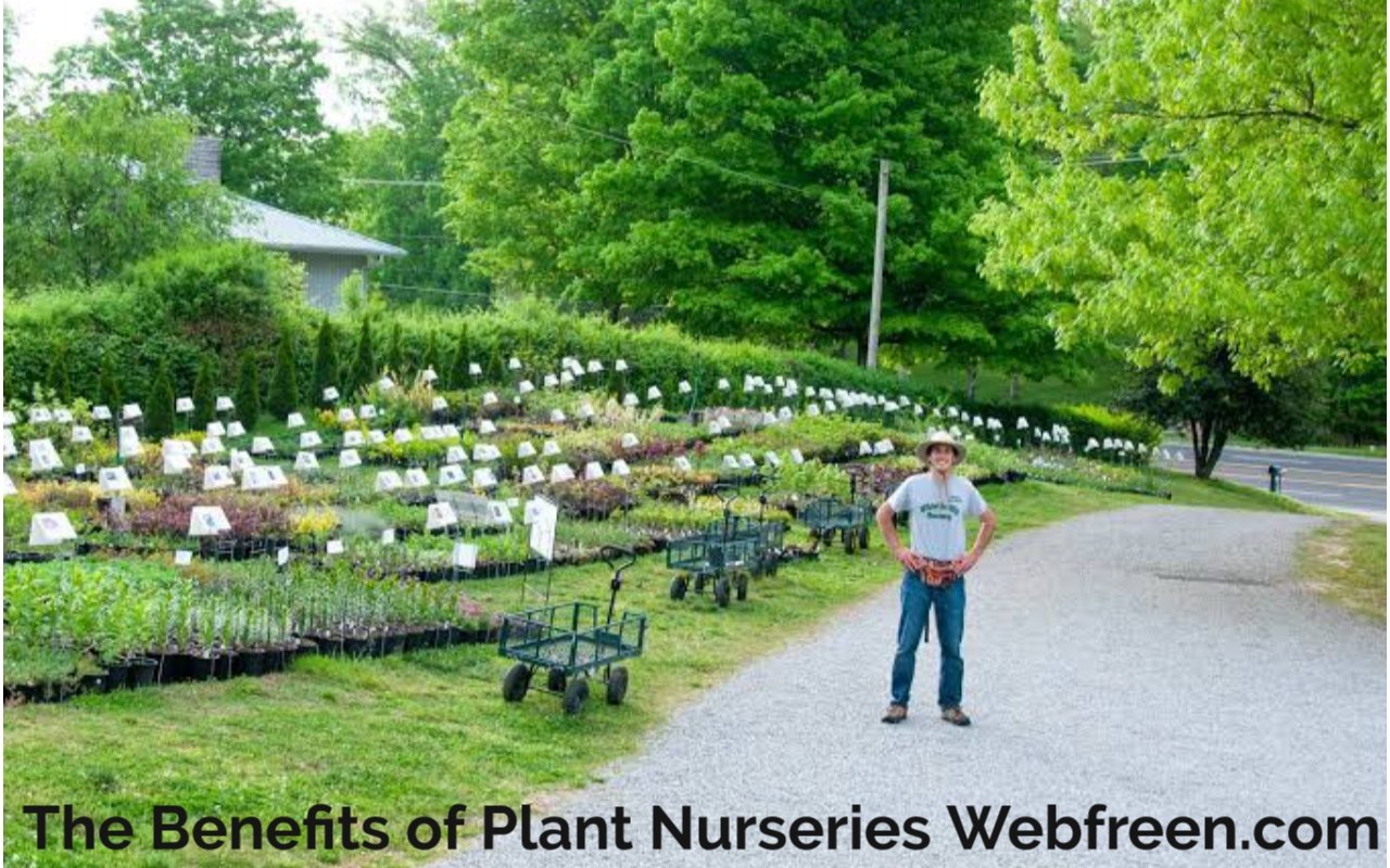 The Benefits of Plant Nurseries Webfreen.com