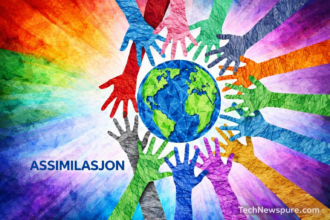 Assimilasjon