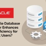 How Oracle Database Connector Enhances Search Efficiency for Ba Insight Users?